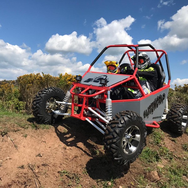 Что такое багги